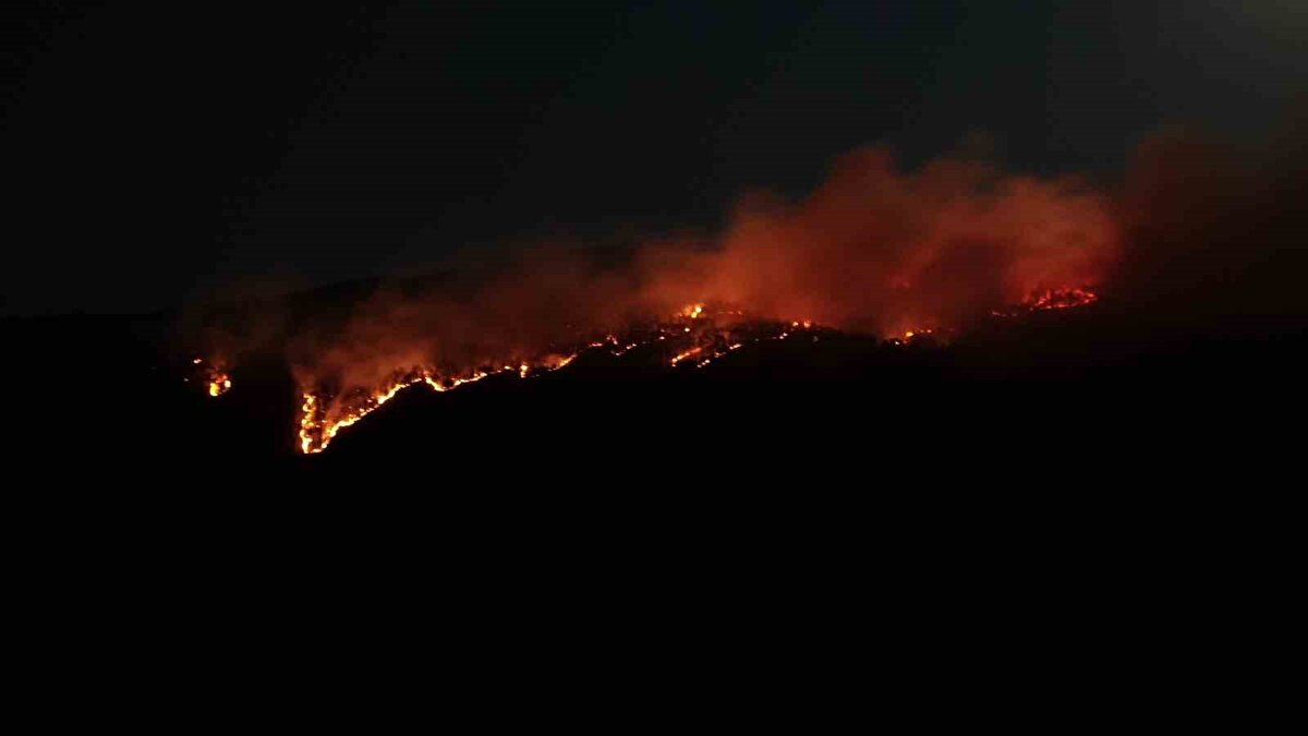 Yangın, Çankırı’nın Ilgaz ilçesine bağlı bulunan Yuvasaray ve Çeltikbaşı köyü arasında bulunan ormanlık alanda çıktı