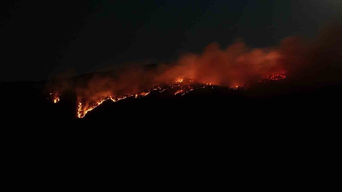 Edinilen bilgilere göre, henüz belirlenemeyen bir nedenle çıkan yangın, rüzgarın da etkisiyle kısa sürede büyüdü. 