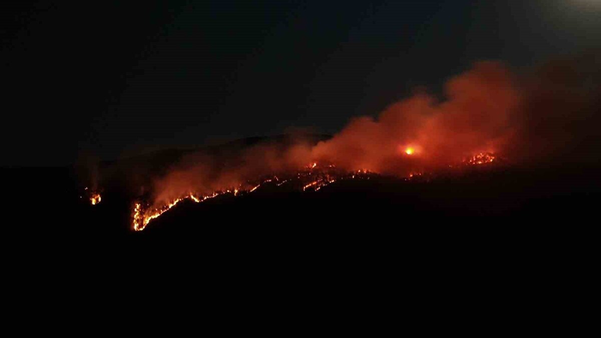 te yandan, ormanlık alanda çıkan yangın dron ile görüntülendi. İşte görüntülerin tamamı: 