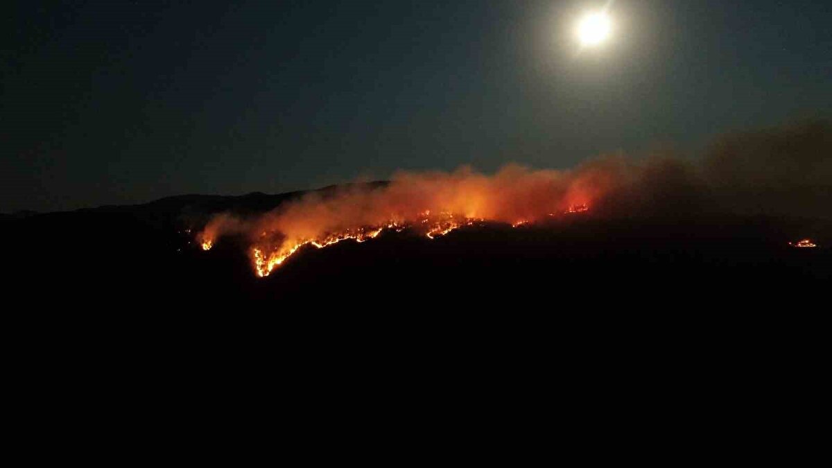 Yaklaşık 2 saattir devam eden yangının kontrol altına alınabilmesi için Çankırı ve Kastamonu ekipleri çalışmalarını sürdürüyor.