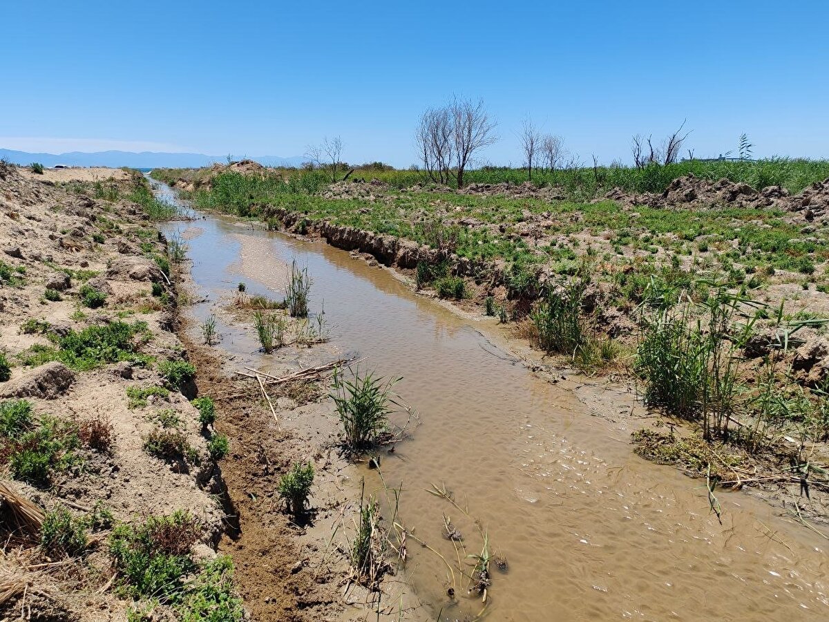 Olay, Erzin ilçesi Turunçlu Mahallesi’nde yaşandı. İddiaya göre, bölgede hayvancılık yapan Hasan Öz’ün sürüsü mahalleden geçerek denize dökülen dereden su içti. Erzin Organize Sanayi Bölgesi’ndeki fabrikaların atık sularının akıtıldığı iddia edilen dereden su içen hayvanlar şişerek rahatsızlandı. 