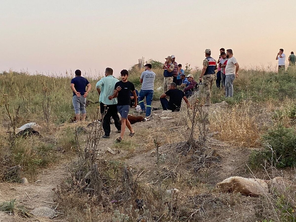 Öte yandan, yaklaşık bir hafta önce aynı dereden su içtiği iddia edilen Cumali Gök’e ait 40 küçükbaş hayvan daha telef olmuştu.