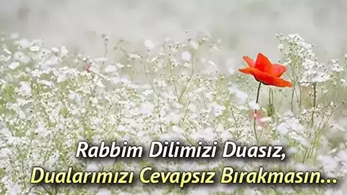 Cuma gününün manevi değerini yansıtan anlamlı Cuma mesajları, 2025 yılına özel içerikleriyle dikkat çekiyor. Sevdiklerinize “Hayırlı Cumalar” demek için etkileyici bir yol arıyorsanız, doğru yerdesiniz. İçten dualar, kısa ve dokunaklı sözlerle harmanlanan bu mesajlar, hem duygularınızı ifade eder hem de sosyal medya paylaşımlarınızı özel kılar.