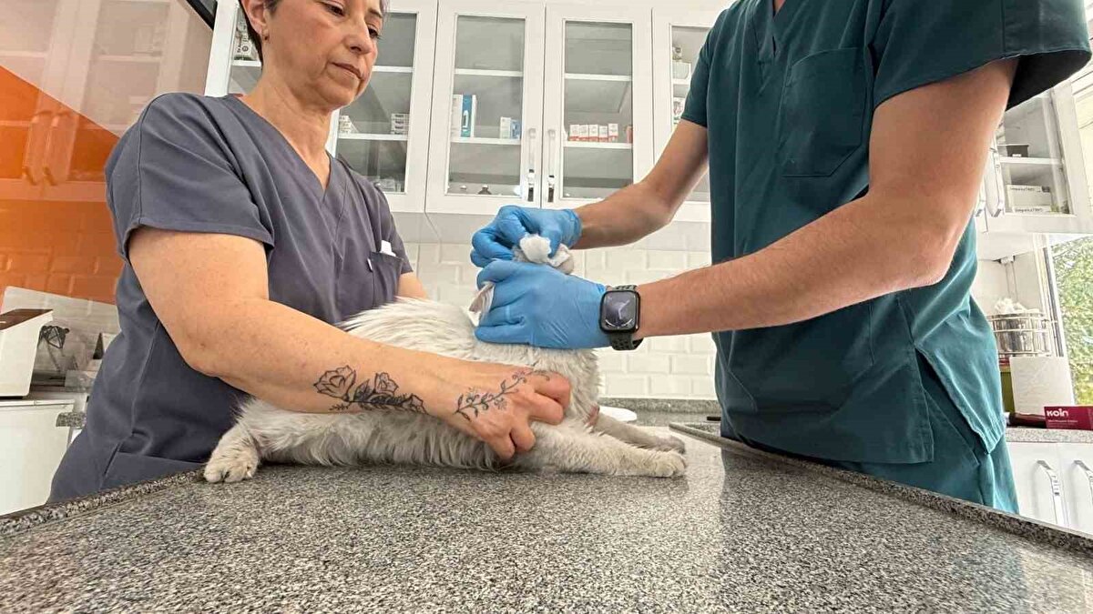 "Şu an kelimeler dudaklarımda, yüreğimde"<br><br>Duygularını anlatan Satar, "Şu an kelimeler ağzımda, dudaklarımda, yüreğimde. Yani ne söyleyeceğimi bilmiyorum. Dün gece sabaha kadar uyumadım. Gelen ihbardan sonra sabaha kadar onu aradım. Çok yeri aradım ama şu an ne kadar mutlu olduğumu anlatamam. İnanın, anlatacak kelime yok. Bu duyguyu anlatmaya kelime yok. Çok özlemişim. O kadar mutluyum ki" dedi.