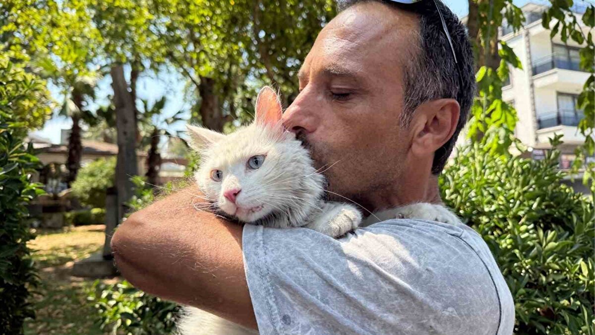 Ayrıca Zülfi Satar, daha önce kedisini bulana 10 bin TL ödül vereceğini açıklamıştı. Ancak Pars’ı bulan vatandaşın bu ödülü kabul etmediği öğrenildi.