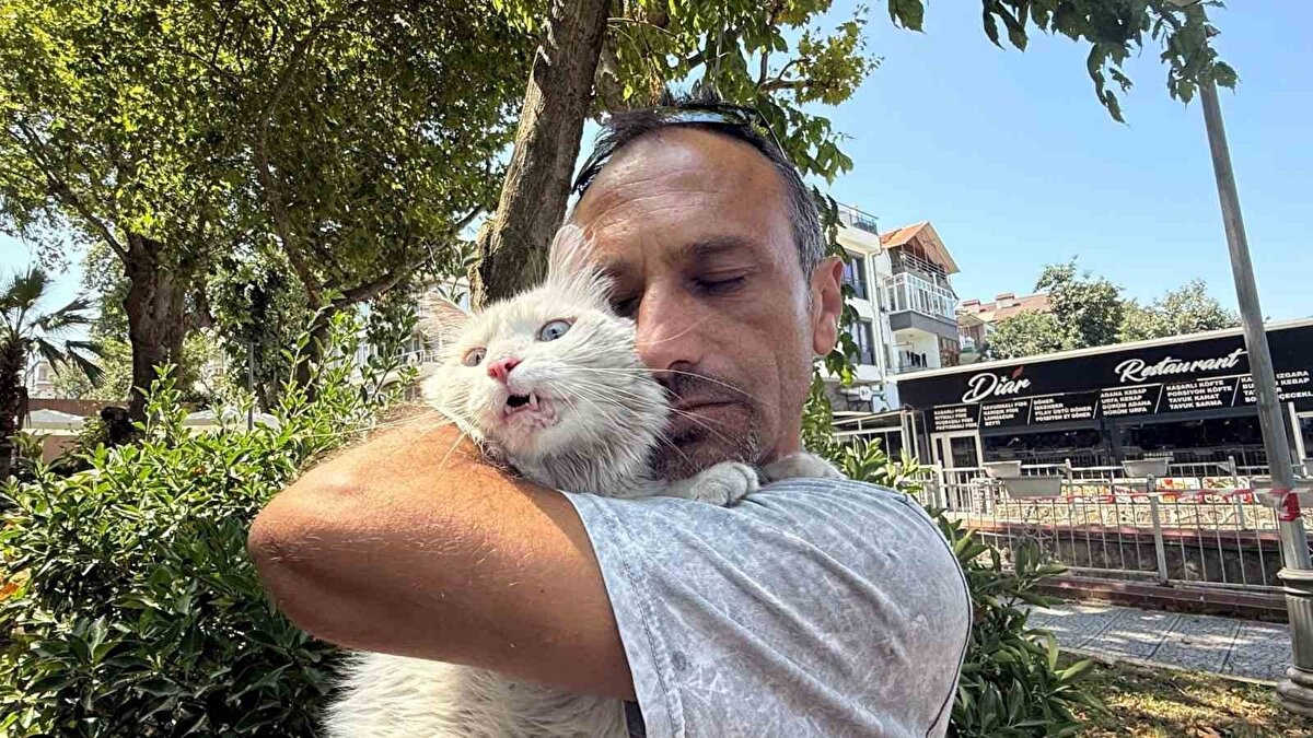 Gölcük’te yaşayan evli ve bir çocuk babası Zülfi Satar (46), ailesinin parçası olarak gördüğü "Pars" isimli Ankara kedisini 22 Haziran’da evinin önünden kaybetti. Sağır olan kedisini bulmak için günlerce sokak sokak gezen ve gözyaşlarıyla çevreden yardım isteyen Satar’ın bu çağrısı yanıtsız kalmadı. Pars, duyarlı bir vatandaş sayesinde Gölcük Kavaklı Mahallesi’nde bulundu. Günler sonra kedisine kavuşan Satar, bu kez sevinç gözyaşları döktü.