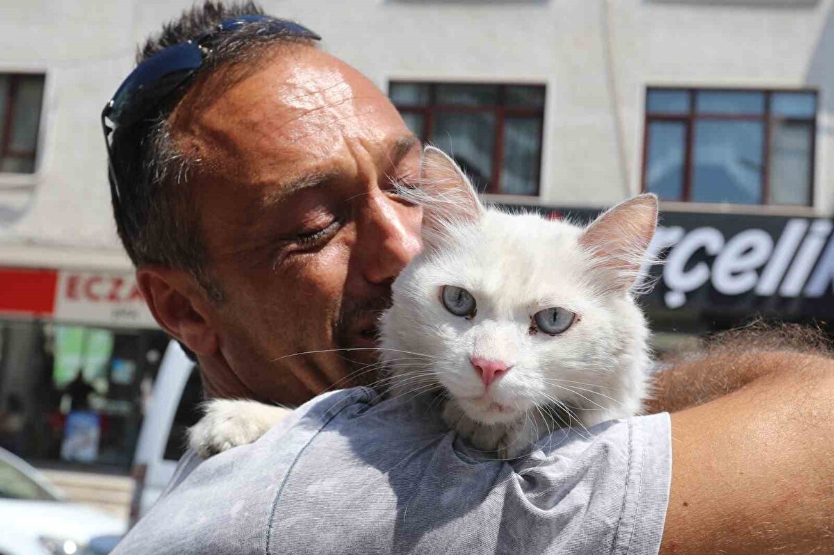 "Bana deli diyorlar"<br><br>Bu süreçte sosyal medyada bazı olumsuz yorumlarla da karşılaştığını aktaran Zülfi Satar, sözlerini şöyle noktaladı:<br>"Hayvan sevgisi olmayan insanların o şekilde yorum yapmasına hiç üzülmüyorum gerçekten. İçinde hayvan sevgisi yoksa o yazdığı yorumun bence hiçbir anlamı yok. Bana deli diyorlar. ’Sen kediyi ne kadar çok seviyorsun?’ diyorlar. Sevemez miyim? Hayvan sevmek güzel bir şeydir. Sonuçta bu da bir can. Evimizdeki çocuğumuz gibi. Milyonlarca insan kedi bakıyor. Sevmeyebilirsiniz. İstediğiniz yorumu yapabilirsiniz, ben hiçbir şey demiyorum ama çok güzel yorum yapanlar da var. Çok arayan oldu. Çok duyarlı insanlar var. Dediğim gibi Ankara’dan, Eskişehir’den insanlar aradı. Kocaeli’nin birçok ilçesinden, Gebze’den arayanlar oldu ama kedim Gölcük’te çıktı. Sayenizde, yapmış olduğunuz haber sayesinde birçok insan ulaştı bana. Hepsine buradan minnettarlıklarımı sunuyorum. Hepinize teşekkür ediyorum."