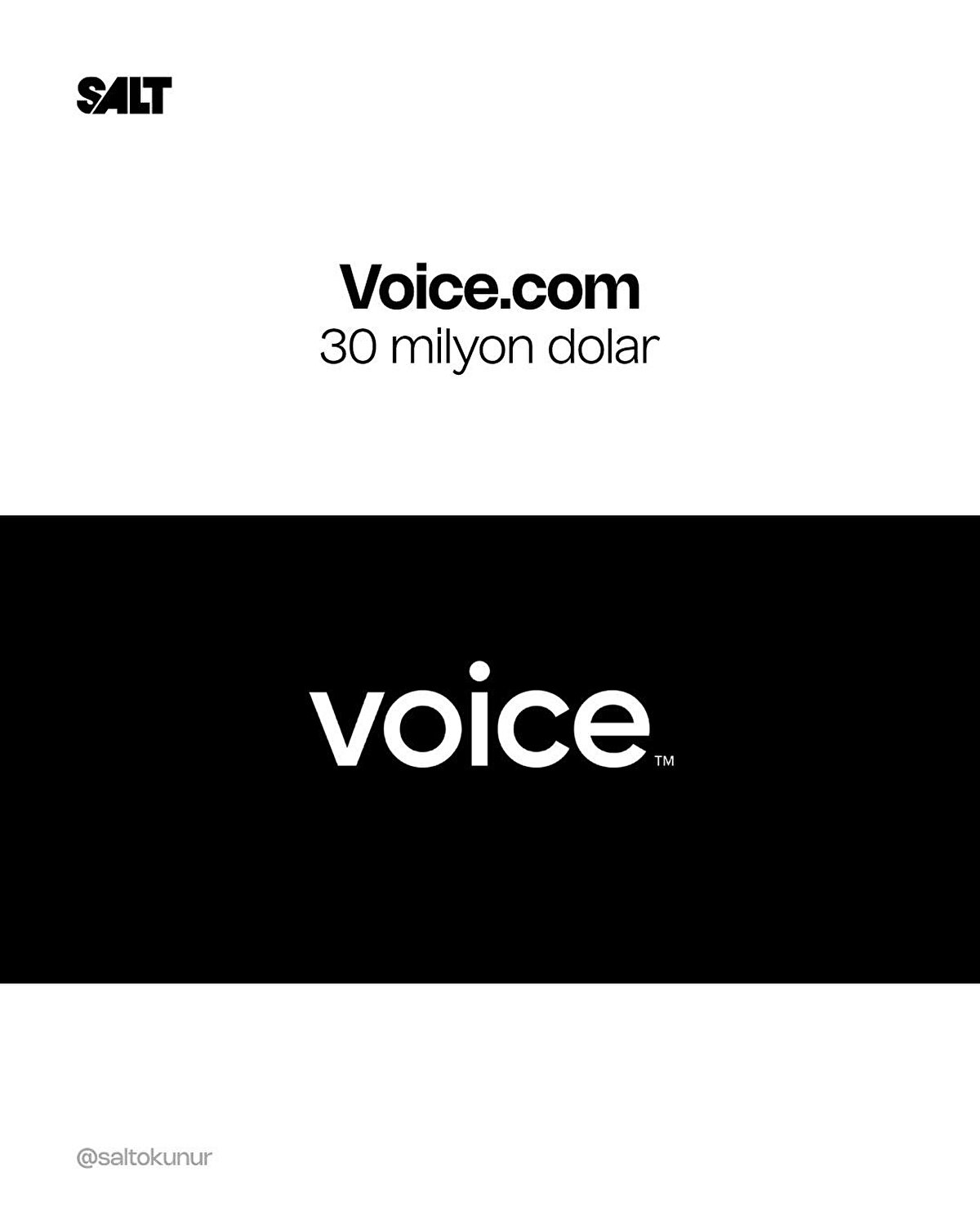 Voice.com – 30 milyon dolar: Blockchain tabanlı bir sosyal medya projesi için satın alındı.