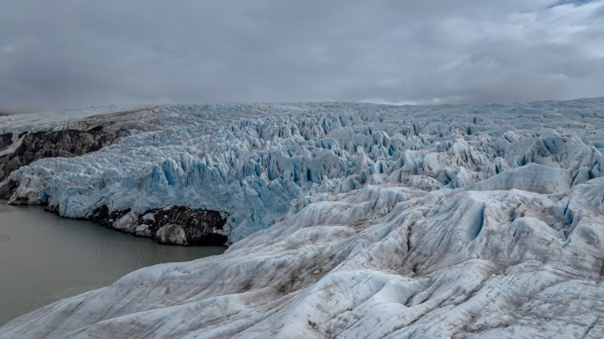 Lise Öğrencileri Kutup Araştırma Projeleri Yarışması" ile "2204-D Lise Öğrencileri İklim Değişikliği Araştırma Projeleri Yarışması"nın birincileri arasından mülakatla seçilen 3 lise öğrencisi de katılıyor.