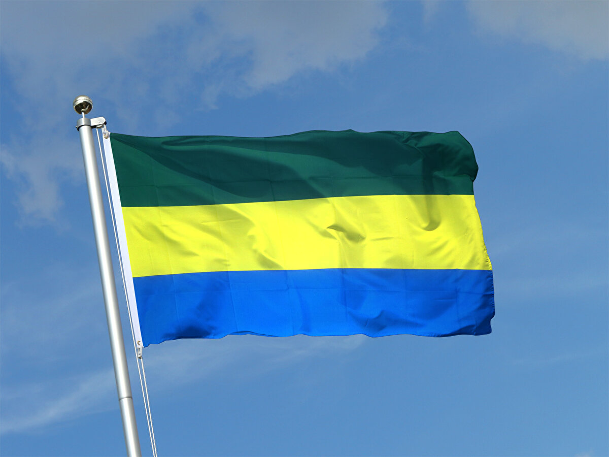 <br><br>11)  Gabon<br><br> <br><br>12)  Gambia<br><br> <br><br>13)  Gine<br><br> <br><br>14)  Gine-Bissau<br><br> <br><br>15)  Fildişi Sahili (Côte d’Ivoire)<br>