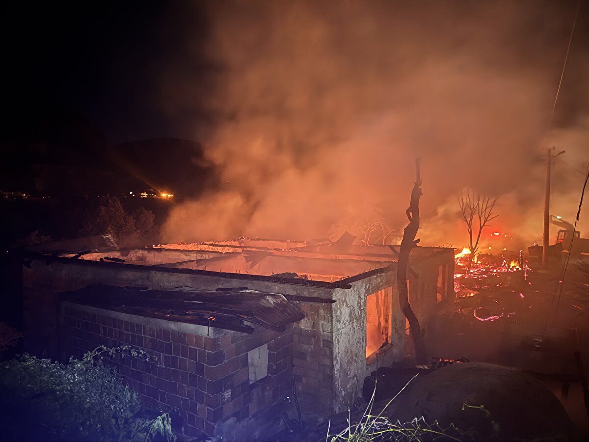 Öte yangın yangın sebebiyle 1 inek telef oldu, 1 traktör ve 1 patpat motoru yanarken bin 500 adetten fazla saman balyasının küle döndüğü öğrenildi.