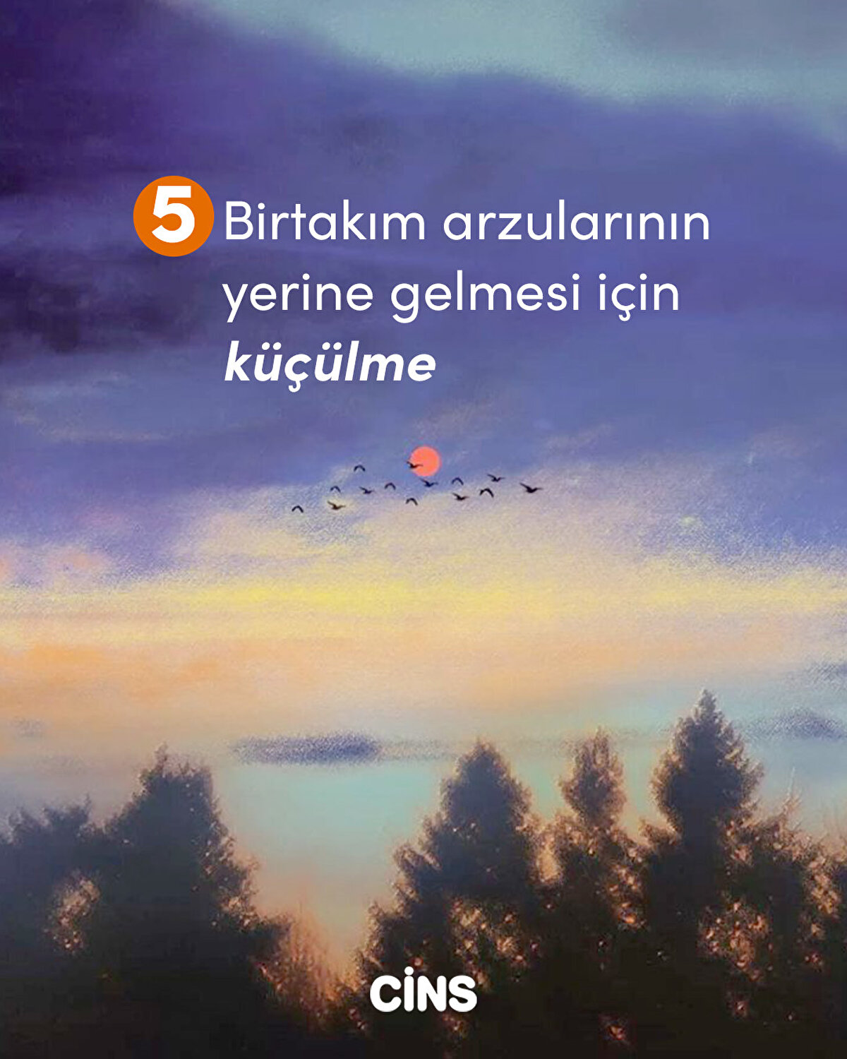 5- Birtakım arzularının yerine gelmesi için küçülme