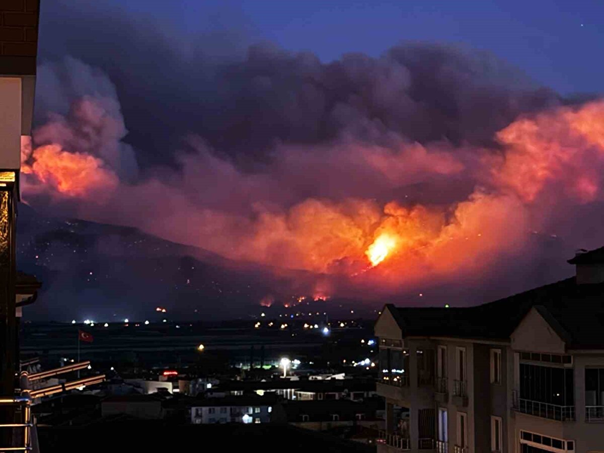 Geniş alana yayılan yangın neticesinde Taşoluk Mahallesi tahliye edildi.