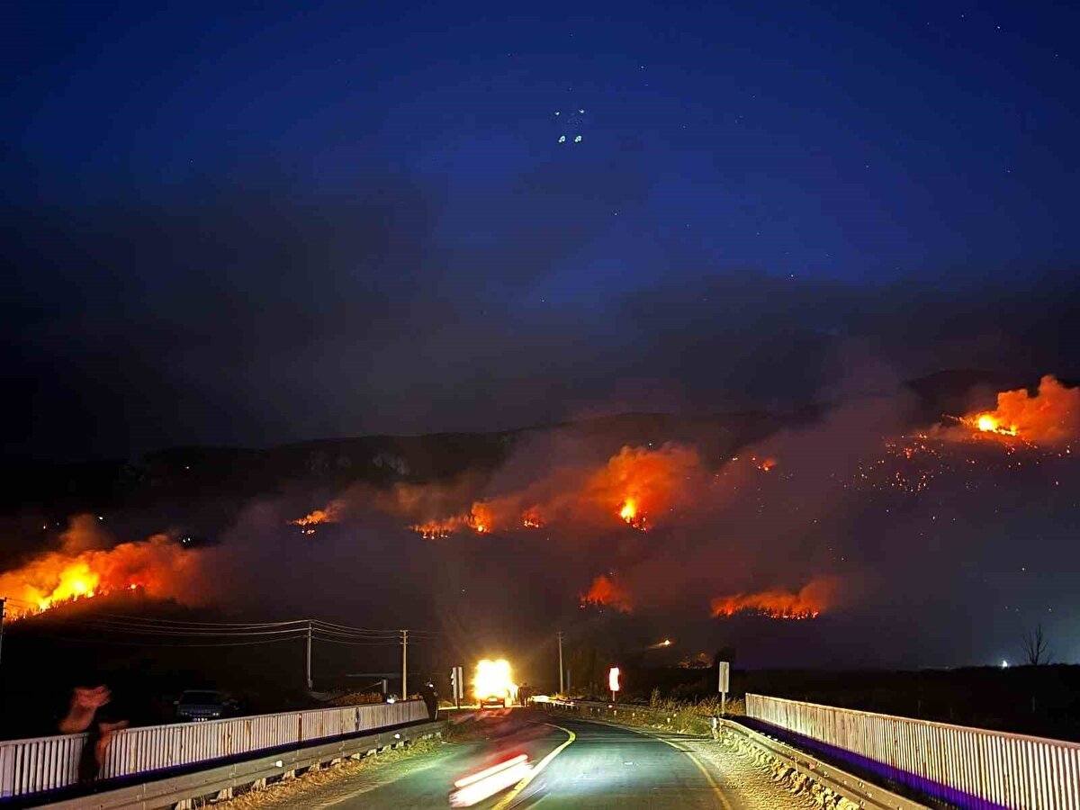 Geyve ilçesinde çıkan orman yangını, rüzgarın da etkisiyle hızla yayıldı.