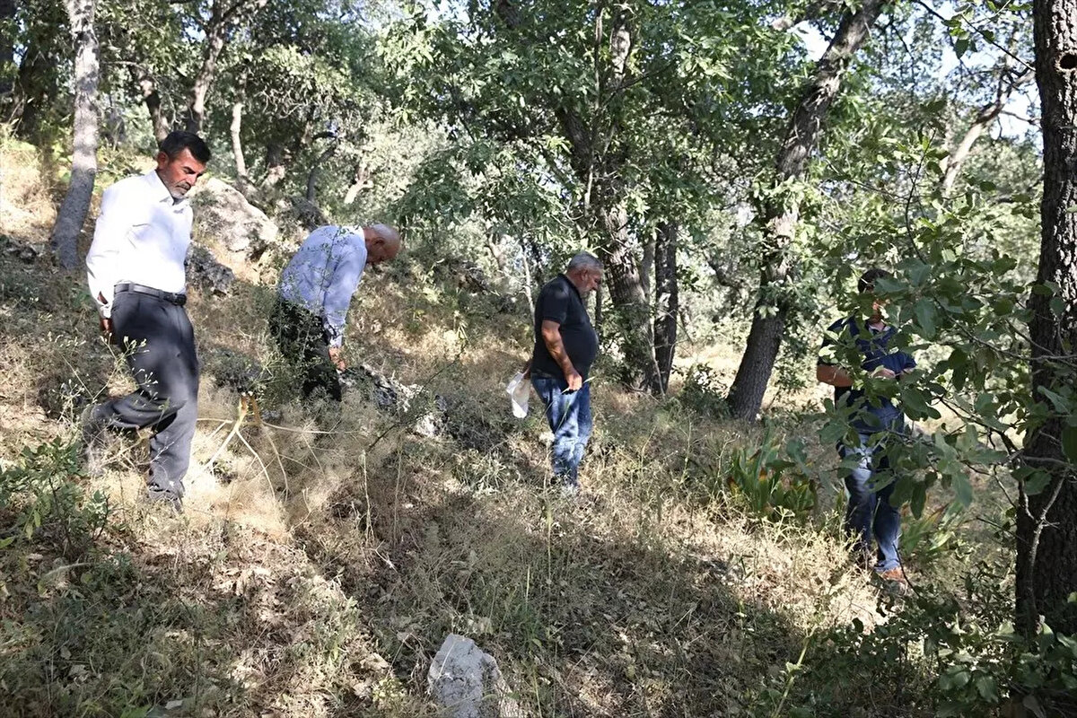 Bölgede yabancı birini gördüklerinde onu izlediklerini ve mezarlıktaki bitkilere zarar vermemesi için önlem aldıklarını ifade eden Koyun, bitkinin insanlığa faydalı olması için gerekli çalışmaların yapılmasını istediklerini kaydetti.<br><br>Köyde yaşayan vatandaşlardan 81 yaşındaki Ahmet Beşir Tatlı da bu bitkinin ülkeye ve millete faydalı olmasını diledi.<br><br>Tatlı, "Bazı kişiler mezarlığa geliyor. Tanımadığımız kişileri mezarlığa sokmuyoruz. Bitkiyi korumak için elimize ne gelirse yapacağız." dedi.