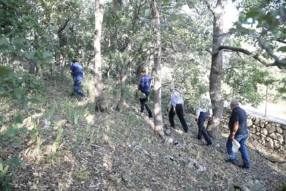"Buraya gelen her ziyaretçinin muhakkak gerekli izinleri alması gerekiyor. Bu bitki bölgeye özgü, lokal, endemik bir tür olduğundan yöre halkı, köylüler tarafından da korunmaktadır." diyen Fidan, bitkinin ülkede yaklaşık 100 türünün bulunduğunu, bunun 50'den fazlasının endemik olduğunu vurguladı.