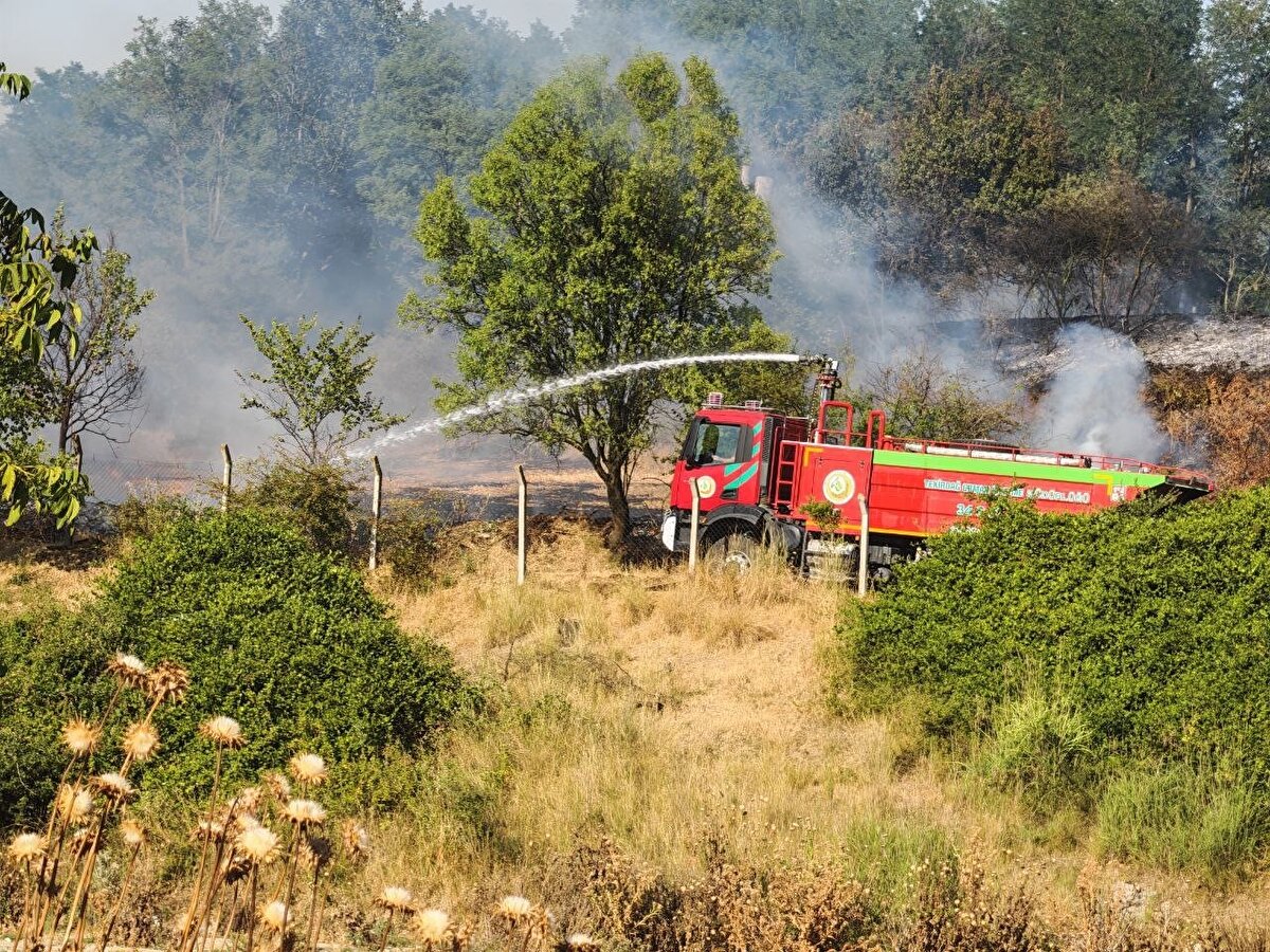 Yangında bölgede bulunan bazı arı kovanlarının da zarar gördüğü öğrenildi. Ormanlık alandaki alevler büyük oranda kontrol altına alınırken, söndürme çalışmaları sürüyor.