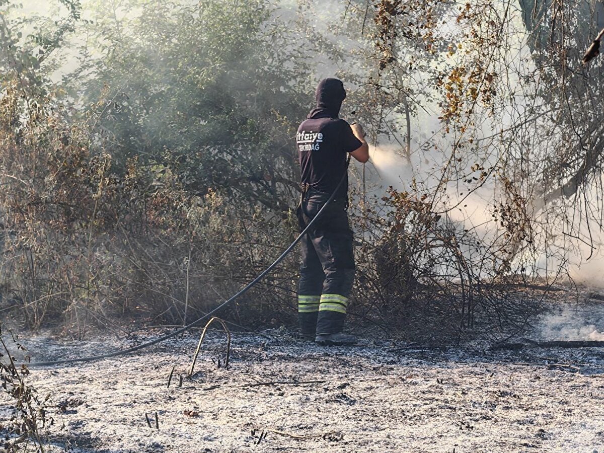 angına Orman İşletme Müdürlüğü ile itfaiye ekipleri müdahale etti. 