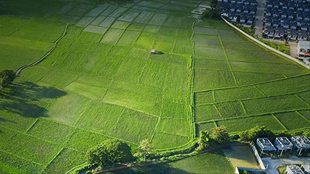 <br><br>TOKİ ARSA SATIŞI NE ZAMAN?<br><br>36 ilde 245 arsa için açık artırma, 4 Ağustos 2025 tarihinde yapılacak ve saat 10.30'da başlayacak.<br><br>Açık artırma, Ankara İlbank Sosyal Tesisleri ile TOKİ İstanbul Hizmet Binası'nda yapılacak. Ayrıca internet üzerinden de (www.emlakmuzayede.com.tr) teklif verilebilecek.<br>