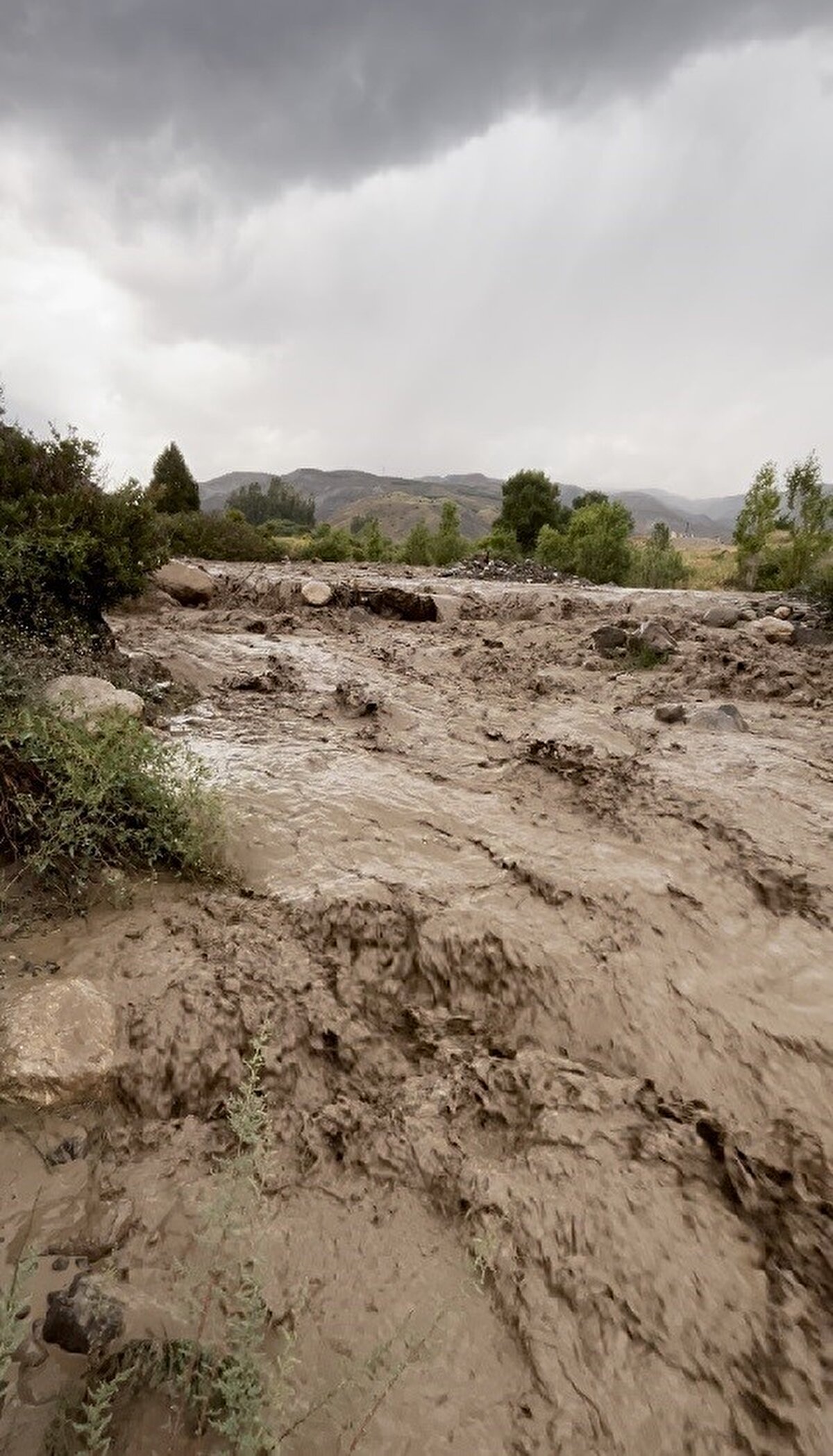 Aniden bastıran şiddetli yağış nedeniyle debisi yükselen dereler, taşıdıkları çamur ve ağaç dallarıyla birlikte taşkınlara neden oldu. 