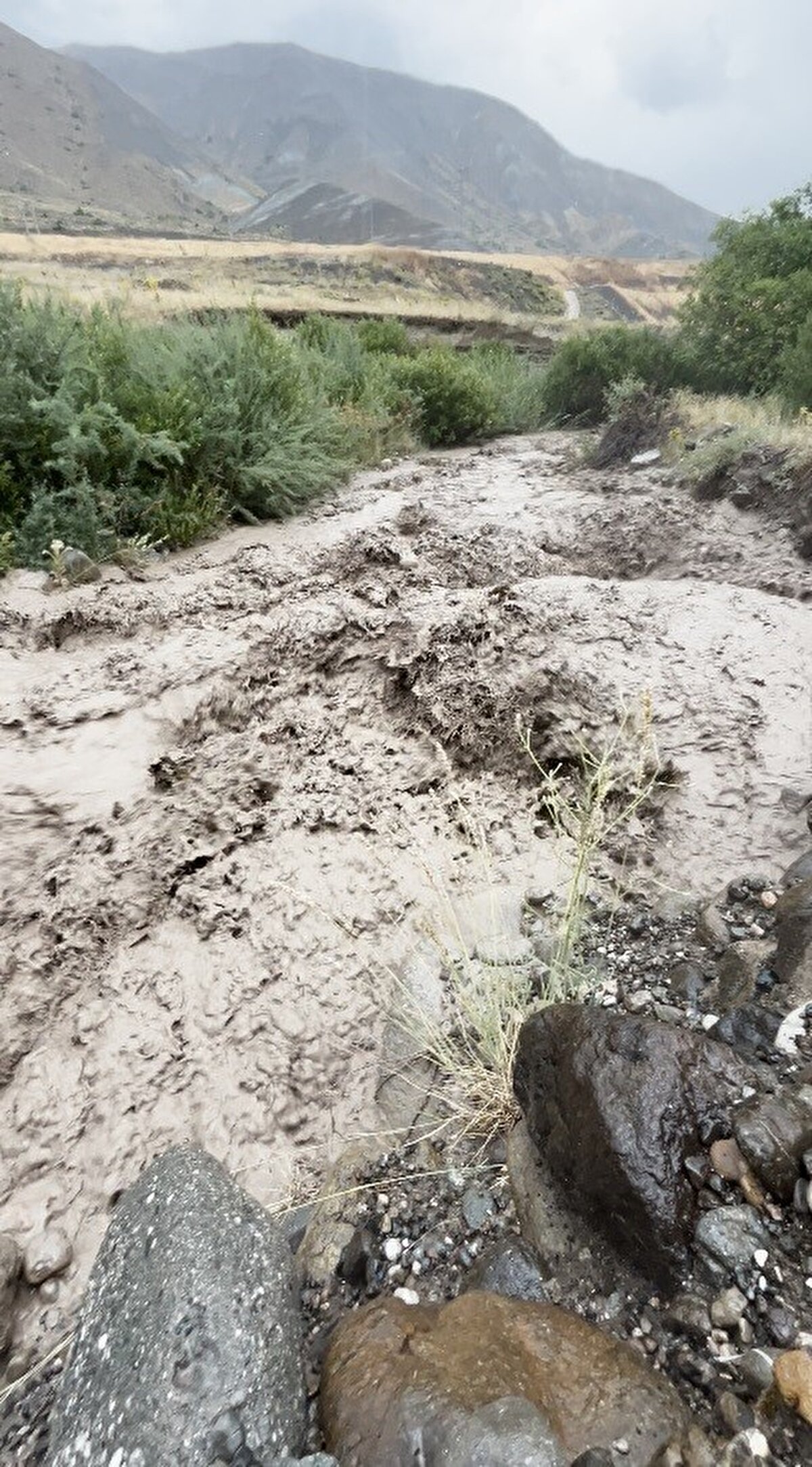 Öte yandan, Meteoroloji 12. Bölge Müdürlüğü verilerine göre, Erzincan kent merkezinde ve ilçelerinde bugün de gök gürültülü sağanak yağış etkili olacak.