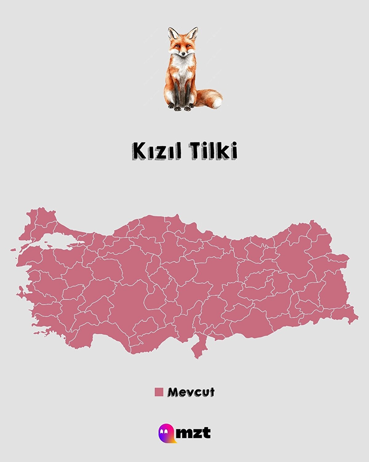 Kızıl Tilki