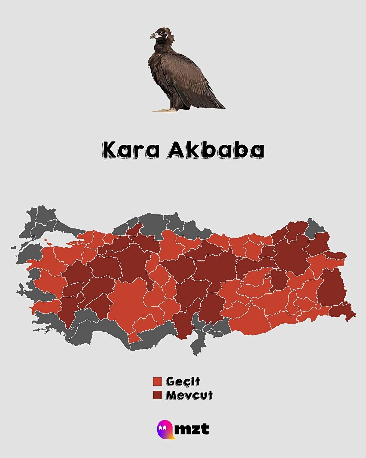 Kara Akbaba