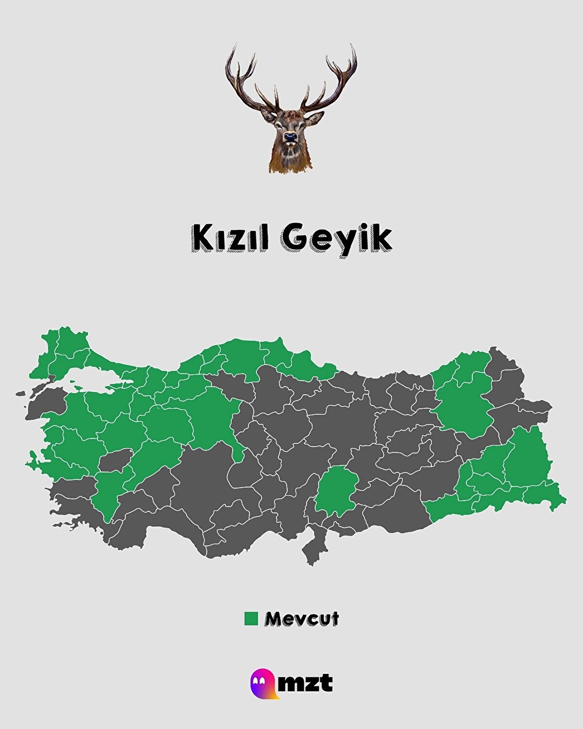 Kızıl Geyik