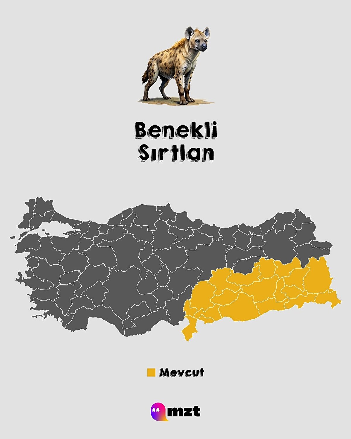 Benekli Sırtlan