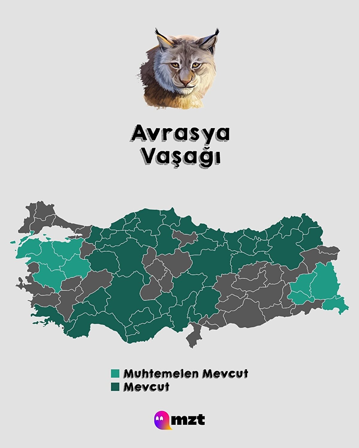Avrasya Vaşağı
