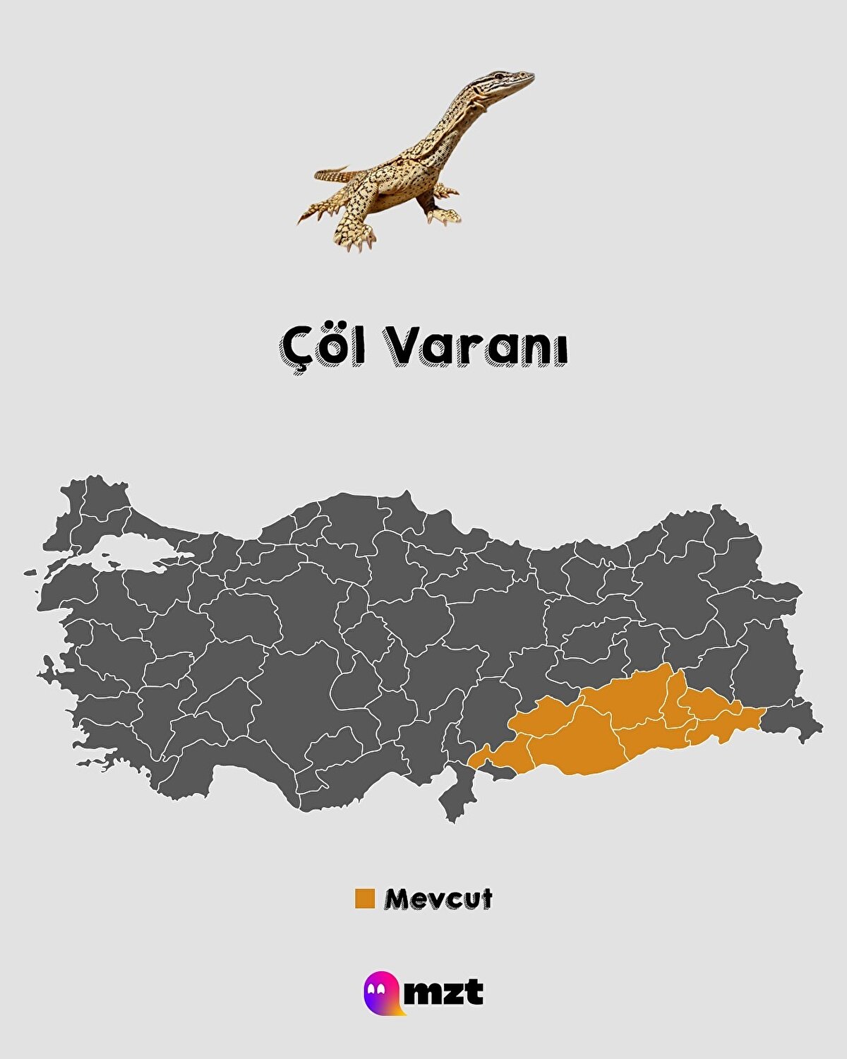 Çöl Varanı