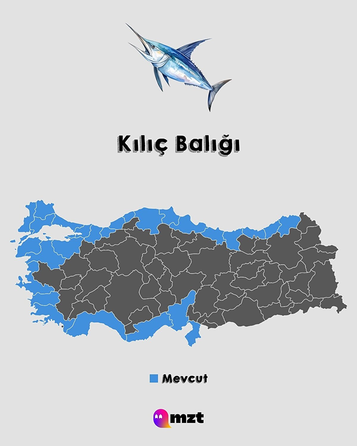Kılıç Balığı 