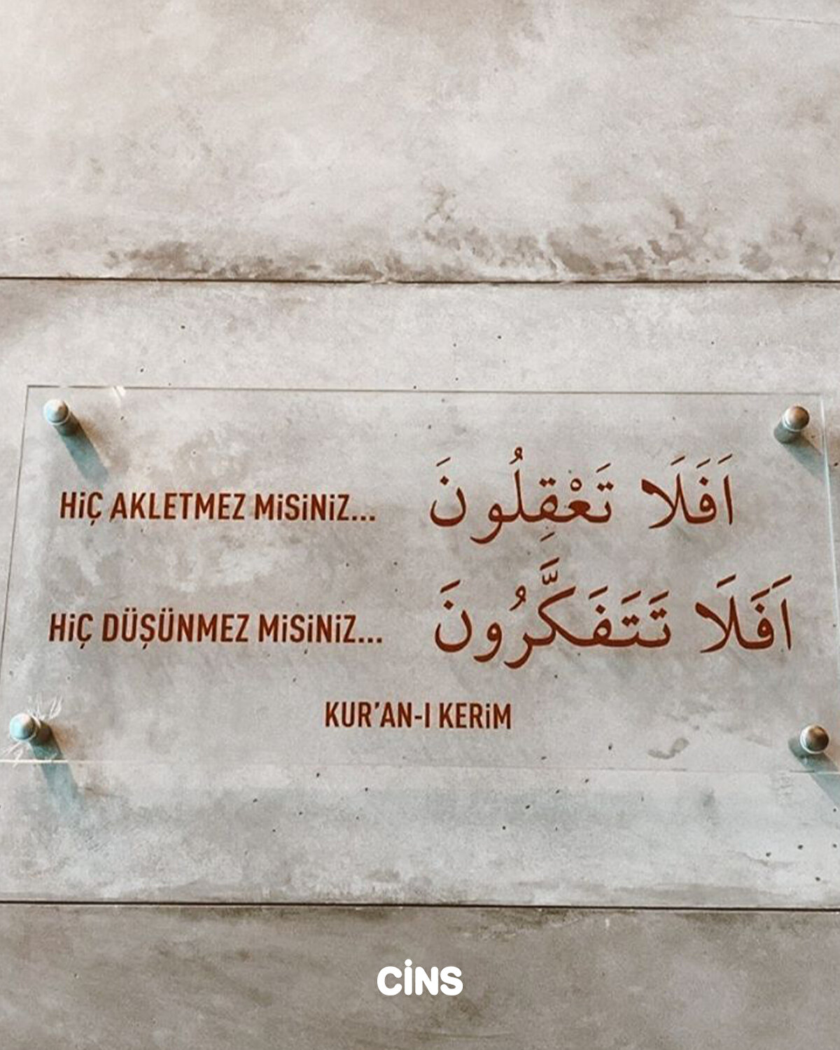 Hiç akletmez misiniz?<br>Hiç düşünmez misiniz?