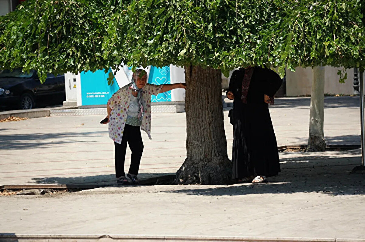 Rüzgar: Genellikle kuzey yönlerden hafif, ara sıra orta kuvvette, Marmara'nın güney ve doğu kesimleri, Kuzey ve Kıyı Ege, Akdeniz’in iç kesimleri, İç Anadolu'nun güney ve doğu kesimleri, Batı Karadeniz'in batı kesimleri, Orta Karadeniz'in iç kesimleri ve Doğu Anadolu’nun güneydoğu kesimlerinde kuzey yönlerden kuvvetli (30-60 kmsaat) olarak esmesi bekleniyor.