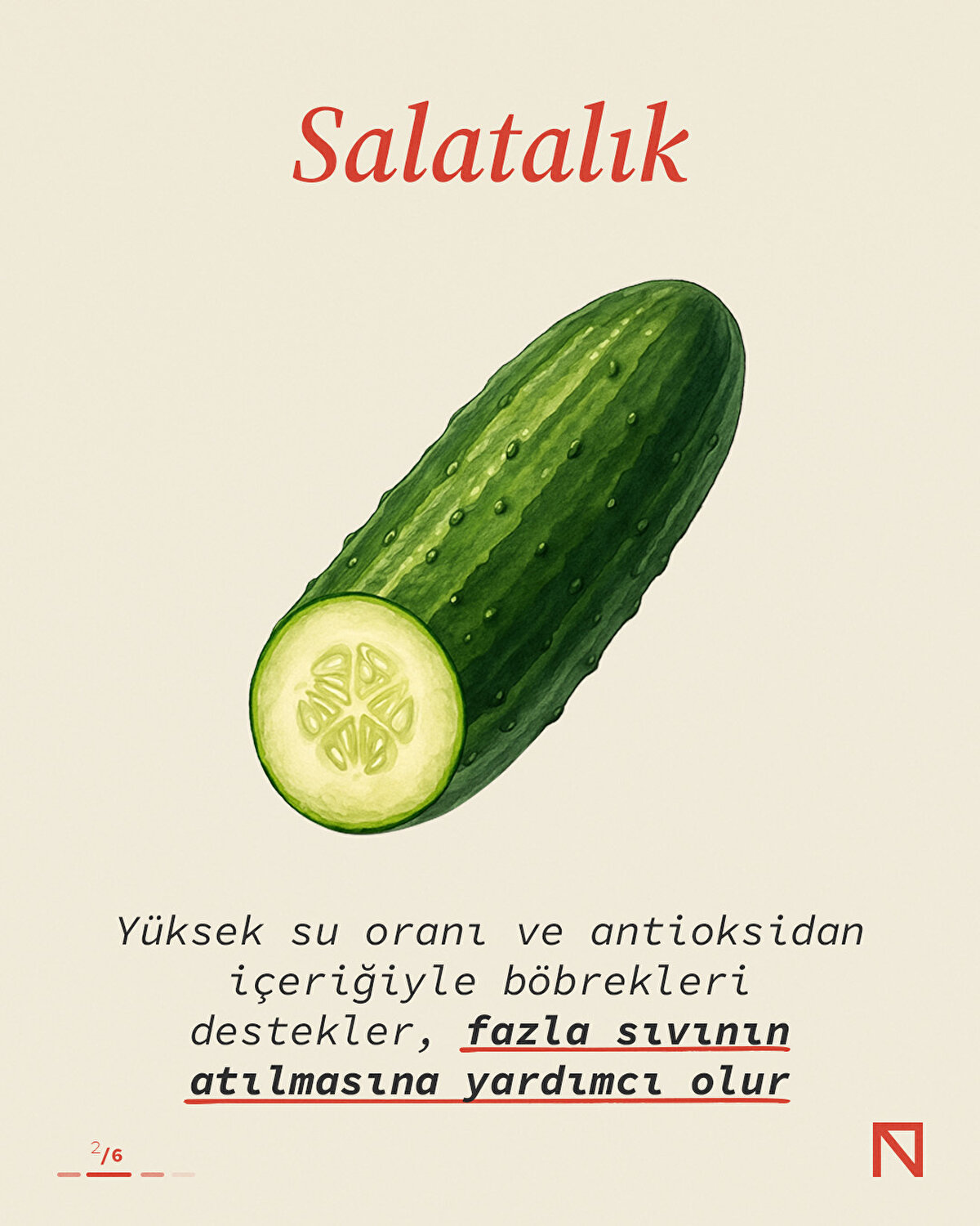 Salatalık, içeriğindeki yüksek su oranı ve antioksidanlarla böbrekleri destekler, fazla sıvının vücuttan atılmasına yardımcı olur.