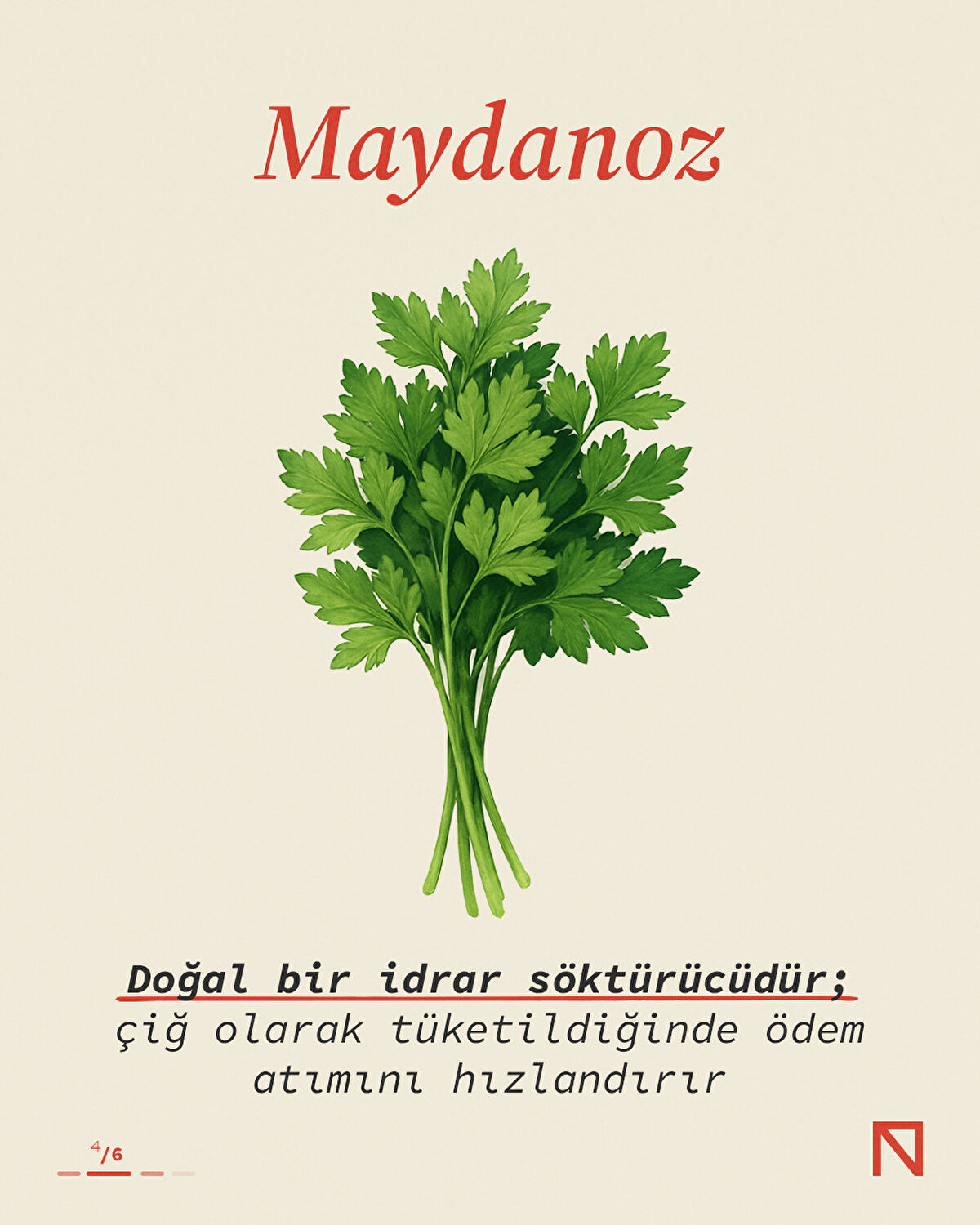 Maydanoz, doğal bir idrar söktürücüdür. Çiğ tüketildiğinde ödem atımını hızlandırır.