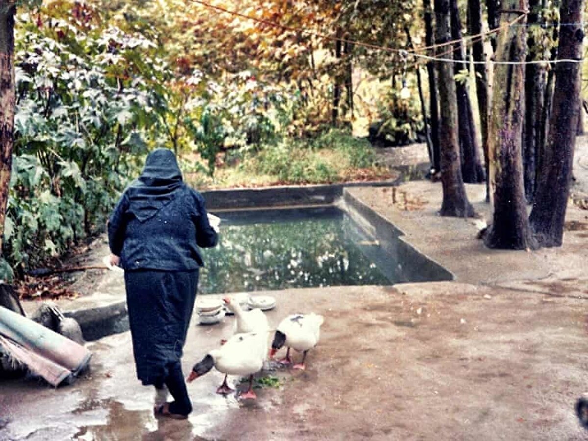 Yaft Abad’da elektrik kesintisi. 19. yüzyılda Alman bir mühendis tarafından döşenen yapay sulama sisteminin yer aldığı bir bahçe. İran-Irak savaşının devam ettiği 80’li yıllarda İran’da elektrik ve su kesintileri sık sık yaşanıyordu. İnsanlar, zaman zaman havuzda biriken sularda bulaşık yıkamak zorunda kalıyordu. Kasım, 1982.