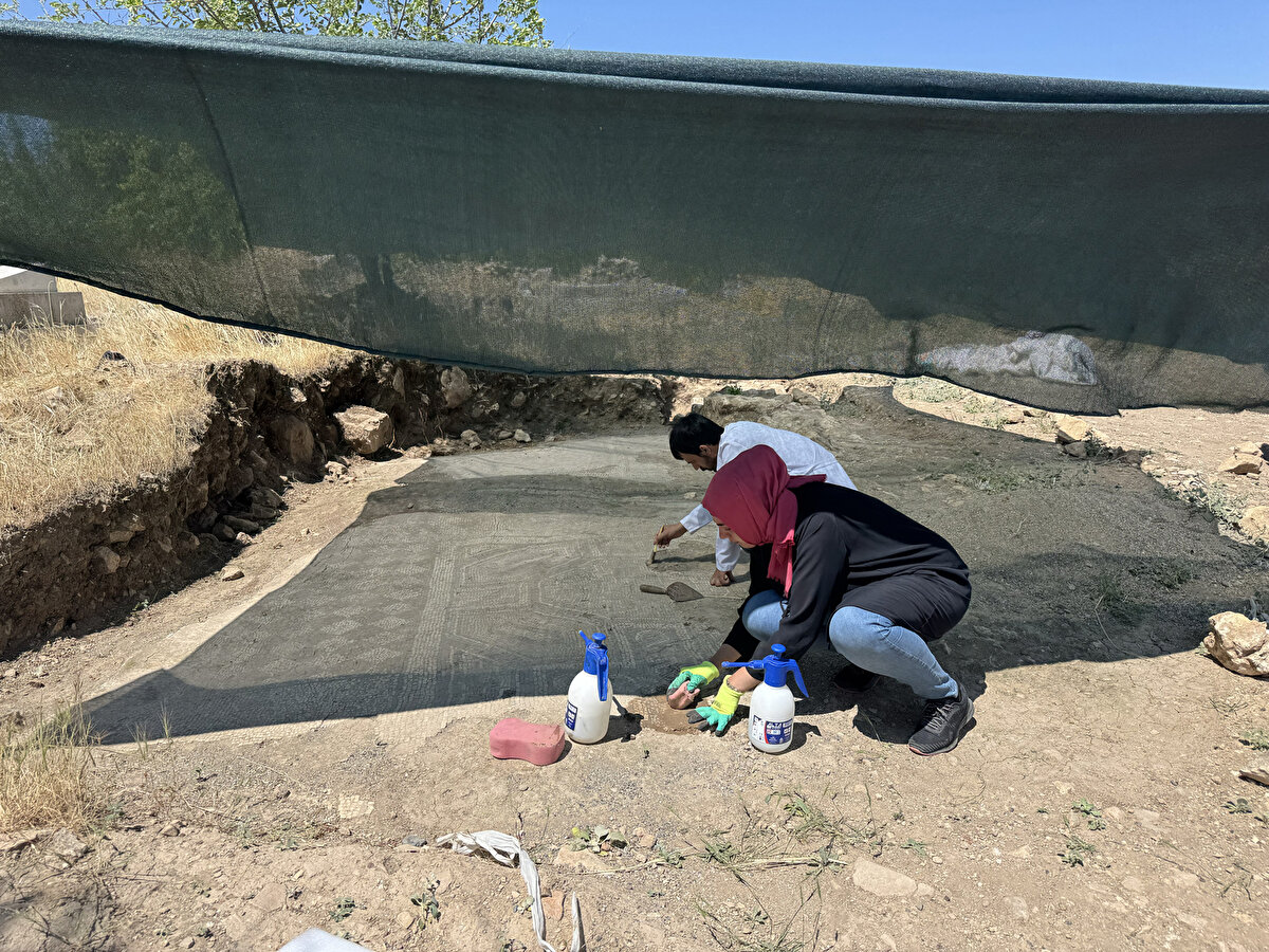 Kırsal Özbilek Mahallesi'nde 8 Mart'ta vefat eden bir kişinin defni sırasında iş makinesiyle yapılan kazıda bulunan mozaikle ilgili Diyarbakır Müze Müdürlüğünce 11 Mart'ta çalışma başlatıldı.