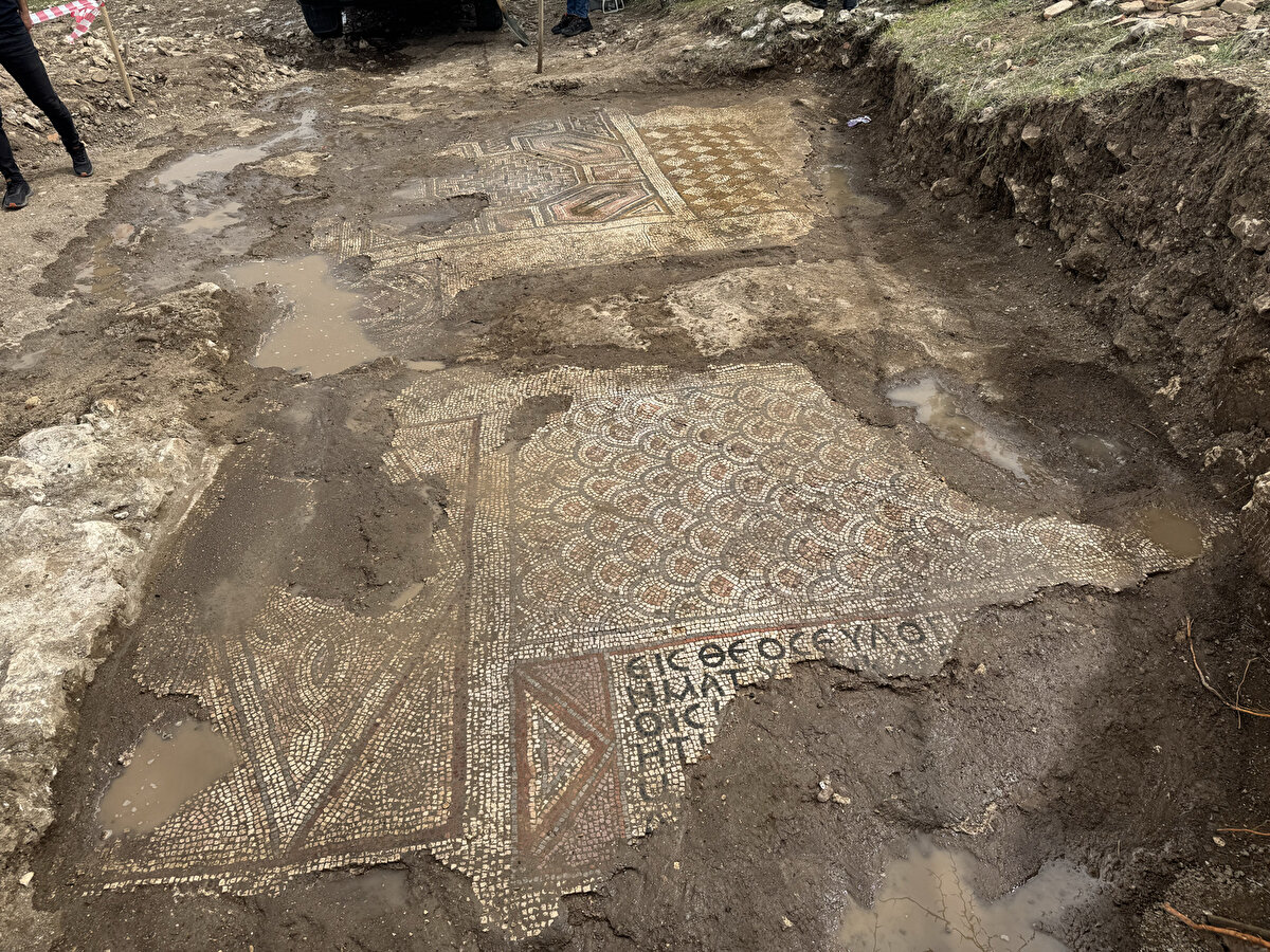 Bölgede çalışmaların tamamlanmasının ardından Diyarbakır Kültür Varlıklarını Koruma Bölge Kurulunca mozaiğin yerinde korunmasına karar verildi.<br><br>Özel bir brandayla üstü kapatılan alan muhafaza altına alındı.