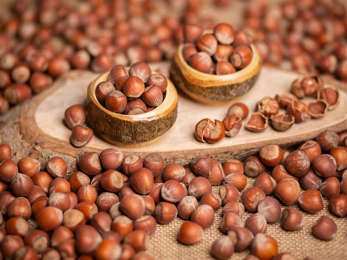 2024-2025 SEZONU TMO FINDIK ALIM FİYATLARI NE KADARDI?<br>Geçtiğimiz yıl TMO tarafından belirlenen fındık fiyatları şu şekildeydi:<br>* Levant kalite: 130,00 TLKg<br>* Giresun kalite: 132,00 TLKg<br>* Sivri kalite: 125,00 TLKg<br>%50 sağlam iç fındık baz alınarak belirlenen bu fiyatlara ilaveten:<br>* +1 randıman için: 1,30 TLKg ek ödeme<br>* Desteklerle birlikte: Levant kalite 133 TL, Giresun kalite ise ortalama 135 TL’ye yükselmişti.