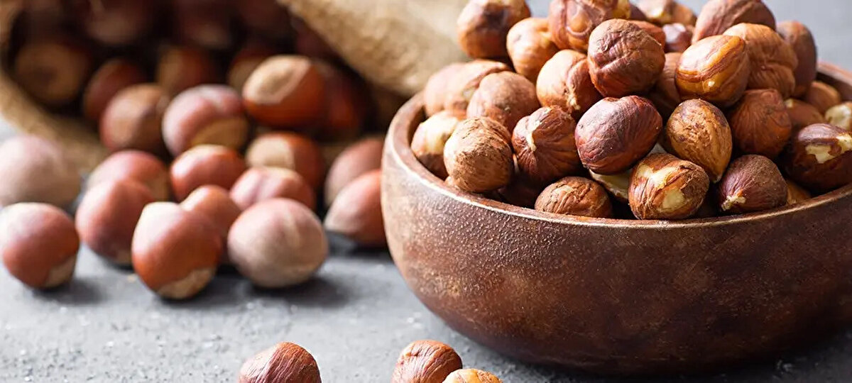 Fındık fiyatları ne zaman açıklanacak 2025? sorusu, Karadeniz bölgesinde fındık hasadının başlamasıyla birlikte yeniden gündeme geldi. Fındık üreticileri, kilogram başına verilecek taban fiyatı ve destek ödemelerini heyecanla bekliyor. Her yıl olduğu gibi bu yıl da fındık fiyatlarını Toprak Mahsulleri Ofisi (TMO) belirleyecek. Sahil kesimlerinde fındık toplama 1-10 Ağustos, orta kesimlerde 10-20 Ağustos, yüksek kesimlerde ise 20 Ağustos’tan sonra başlıyor. Ancak 2025 yılı için TMO fındık fiyatları henüz açıklanmadı. Peki, levant ve Giresun kalite fındık fiyatları kaç TL olacak? İşte detaylar…