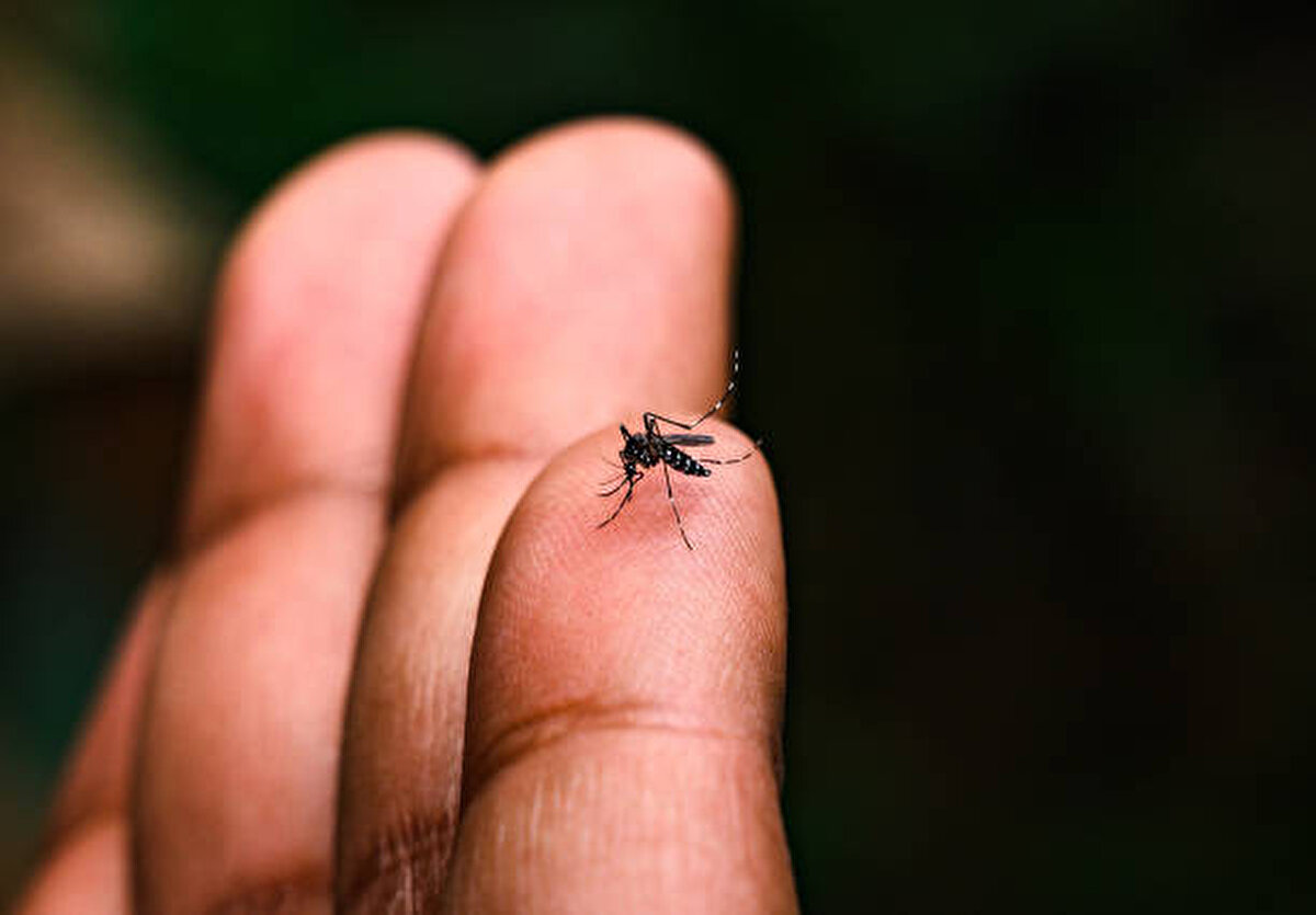 Chikungunya virüsü, tropikal bölgelerde görülen ve sivrisinekler aracılığıyla bulaşan ciddi bir hastalıktır. Çin’de yeniden ortaya çıkması, hastalığın yayılma potansiyelini gündeme taşıdı. Türkiye’de şu an için vaka bulunmasa da, taşıyıcı sivrisineklerin varlığı nedeniyle dikkatli olunmalı, özellikle yaz aylarında sivrisinek ısırıklarına karşı koruyucu tedbirler alınmalıdır.