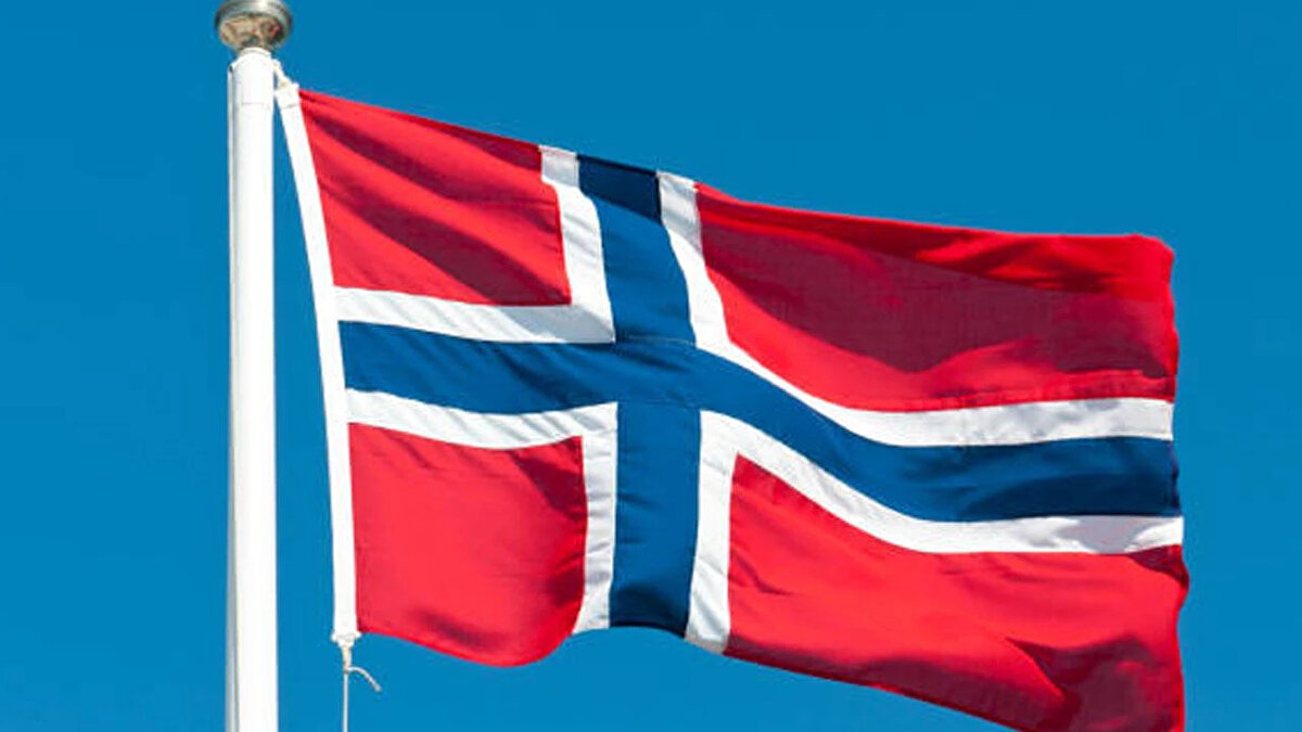 29- NORVEÇ | YÜZDE 0.8