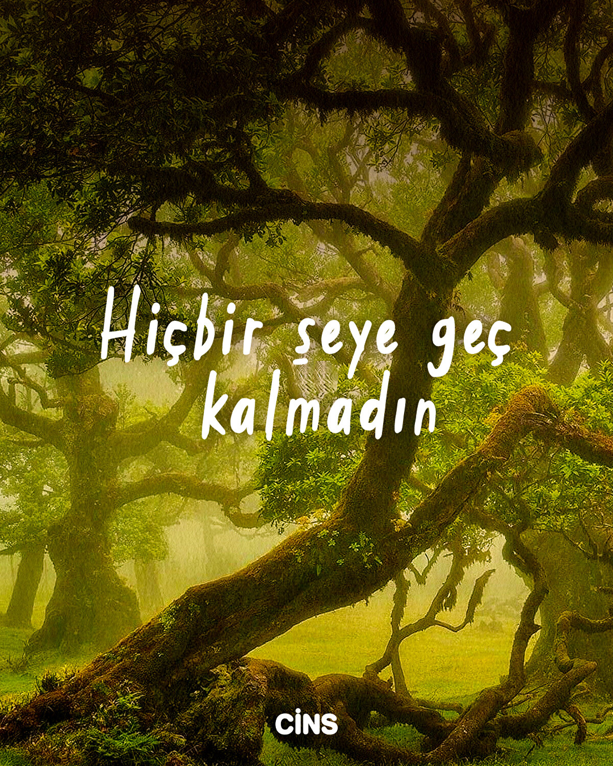 Hiçbir şeye geç kalmadın
