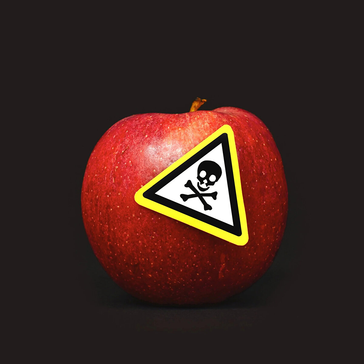  Memleketin çöp seviyesinin bile altındaki gıda meselesi çözülmeden, toksik madde cehenneminden kurtulmadan, gençler doğru bilgilendirilip şuurlandırılmadan mesele kolaylıkla çözülemez 