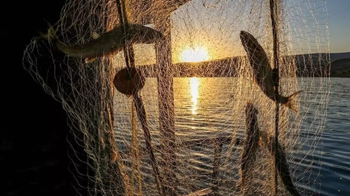 Tatlı Su Balık Sezonu Ne Zaman Açılıyor?<br><br>Tatlı su avcılığında özellikle sazan, yayın, turna gibi türler için av sezonu genellikle 1 Temmuz civarında başlıyor. Ancak kesin tarihler için her yıl güncellenen bölgesel av takvimine bakmak gerekiyor.