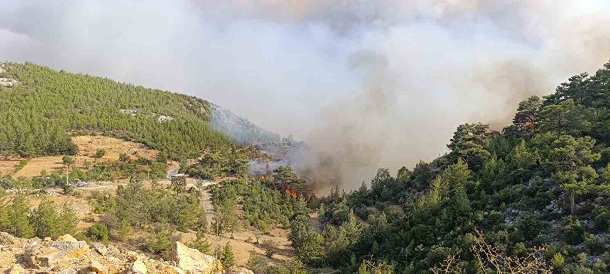Vali Toros:" 90 haneden 190 kişiyi tahliye ettik"