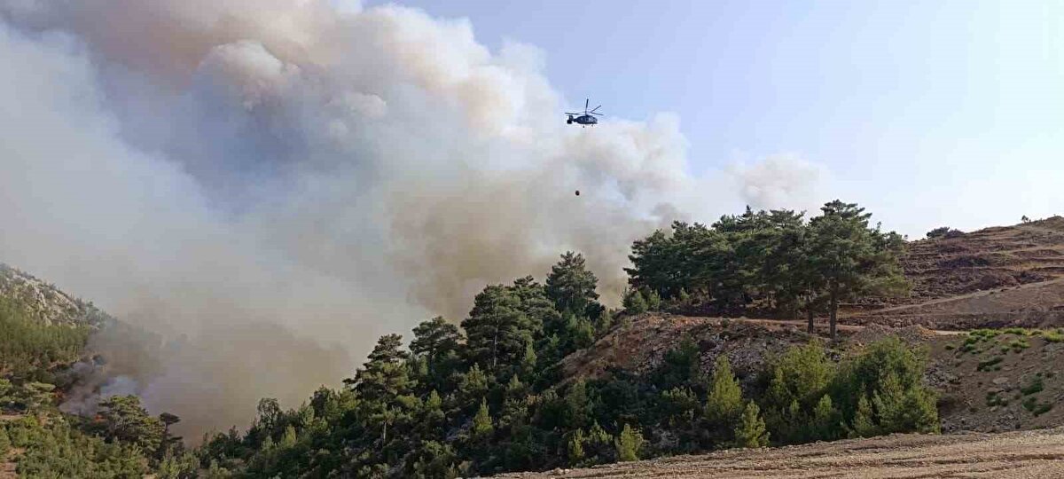 Yangınla ilgili gazetecilere açıklama yapan Vali Atilla Toros," Bugün maalesef 12.45 sıralarında orman yangınımız başladı. Silifke ilçemiz Balandız ve Kırtıl Mahalleleri bölgemizde çıkan orman yangınına 10 dakika için de ilk müdahalemize başlamış olduk. 9 helikopter havadan müdahale ediyor, bir helikopterimizde yolda. Tüm birimlerden 122 araçla yangına mücadele ediyoruz. Bunlardan 46’sı arazöz. 200’ü orman personeli olmak üzere 344 personel var. Ayrıca jandarma komando ve ilçe jandarma birliklerinden 210 personel ve 60 araç da güvenlik ve destek görevini yürütüyor. Kırtıl, Balandız ve İmam Uşağı mahalleleri tedbiren boşaltıldı" dedi.