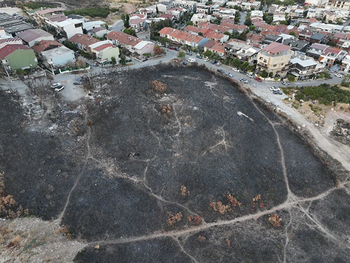 Ekipler yangına havadan ve karadan müdahale etti. Havanın kararmasıyla birlikte havadan müdahale durduruldu. Orman Bölge Müdürlüğü, itfaiye ve İzmir İl Emniyet Müdürlüğü’ne bağlı TOMA araçları gece boyunca çalışmalarını sürdürdü.