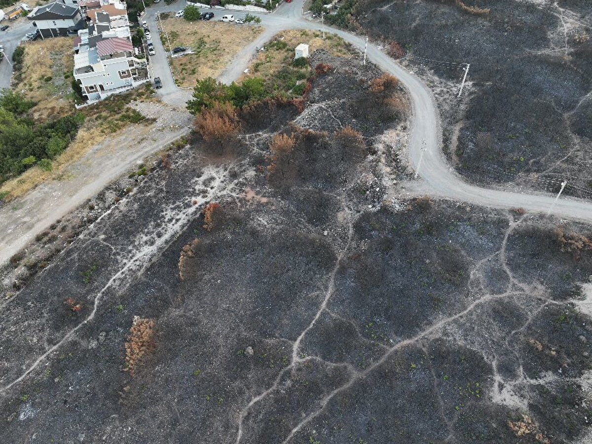 İzmir Çevre yolundaki dün saat 18.00 sıralarında bir minibüste yangın çıktı. Alevlerin rüzgarın da etkisiyle ormana sıçradı. İhbar üzerine bölgeye İzmir Orman Bölge Müdürlüğü'ne ait hava unsurları ile çok sayıda arazöz sevk edildi. 